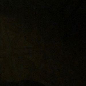 Meet your Posher, Genesis